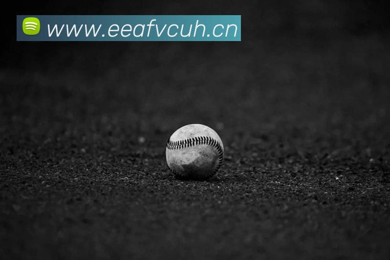 星空体育体育登录入口平台生态图